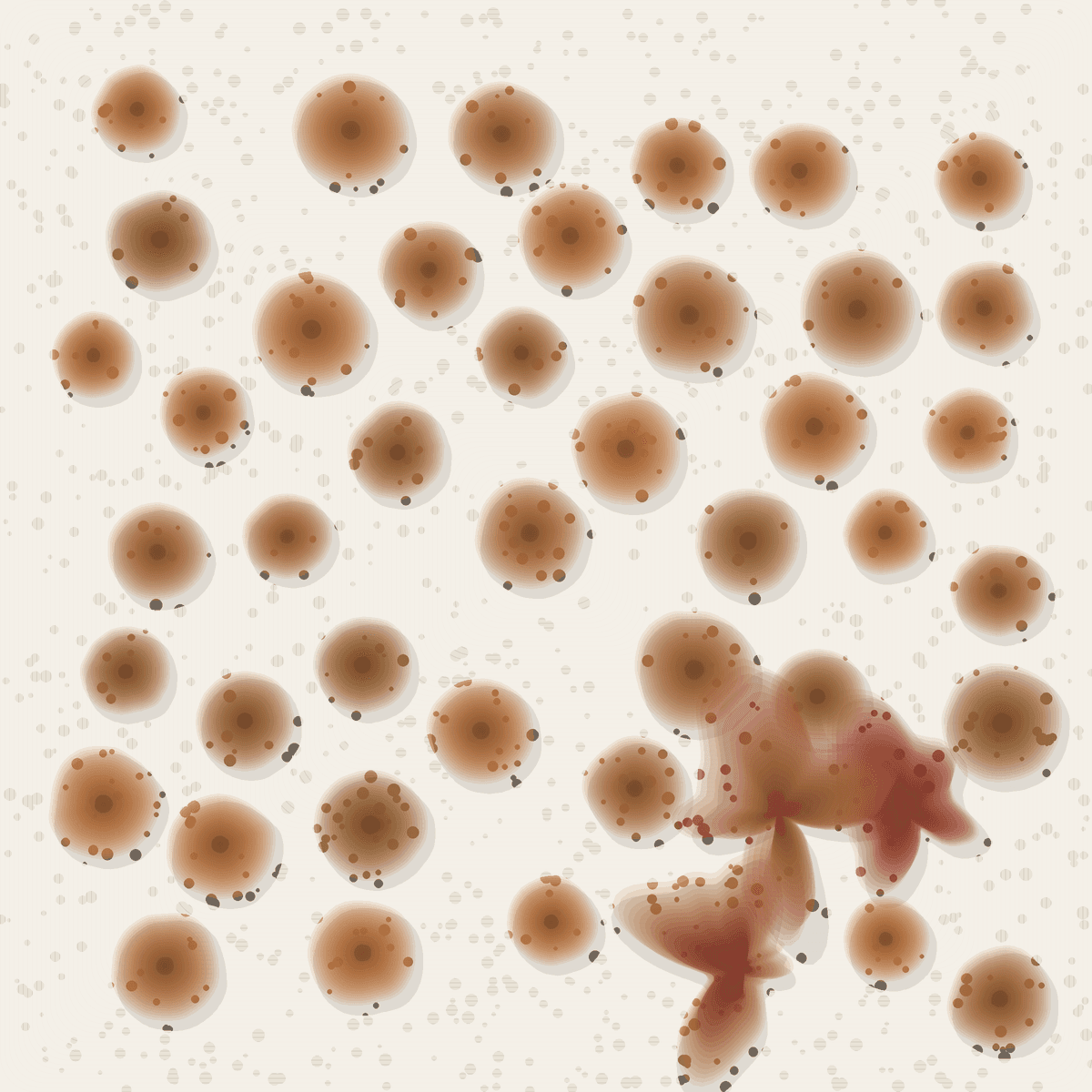 Signs of Melanoma: The ABCDE Checklist That Could Save Your Life